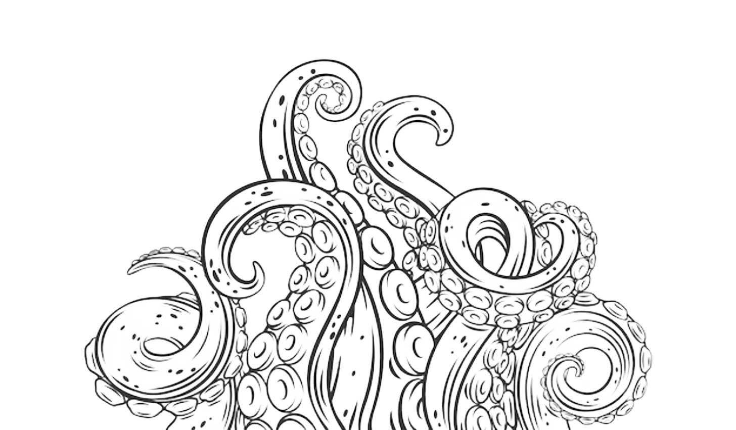Octopus Drawing